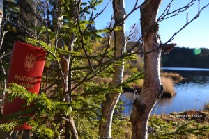 Rød bok, Norges lover, gjemt i trær ved vann