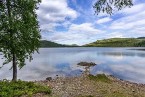 Glitre Per Fjordvang