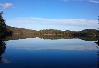 Funn av levninger i Nordre Svanevann