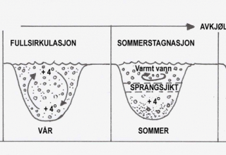 Årssirkulasjon i vannkildene