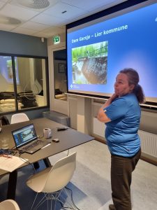 Bilde: dame som står foran en presentasjon.