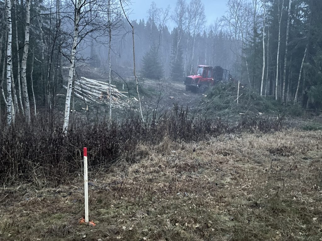Bilde: Skogsmaskin som står i en skog